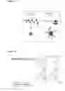 Fig. 02 - METHODS AND COMPOSITIONS FOR MODULATING DRUG-POLYMER ARCHITECTURE, PHARMACOKINETICS AND BIODISTRIBUTION