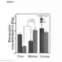 Fig. 08 - METHODS AND COMPOSITIONS FOR MODULATING DRUG-POLYMER ARCHITECTURE, PHARMACOKINETICS AND BIODISTRIBUTION