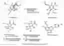 Fig. 01 - XANTHOHUMOL COMPOSITIONS AND METHODS FOR TREATING SKIN DISEASES OR DISORDERS