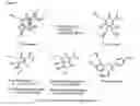 Fig. 02 - XANTHOHUMOL COMPOSITIONS AND METHODS FOR TREATING SKIN DISEASES OR DISORDERS