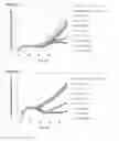 Fig. 10 - HETEROCYCLIC COMPOUNDS AND USES AS ANTICANCER AGENTS