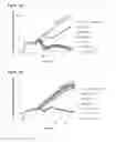 Fig. 18 - HETEROCYCLIC COMPOUNDS AND USES AS ANTICANCER AGENTS