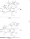 Fig. 320 - CC-1065 analogs and their conjugates