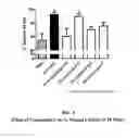 Fig. 04 - METHOD OF ACCELERATING CORNEAL WOUND HEALING