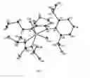 Fig. 07 - Metal-ligand complexes and catalysts