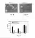 Fig. 06 - PROMOTERS EXHIBITING ENDOTHELIAL CELL SPECIFICITY AND METHODS OF USING SAME FOR REGULATION OF ANGIOGENESIS
