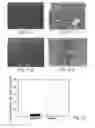 Fig. 22 - PROMOTERS EXHIBITING ENDOTHELIAL CELL SPECIFICITY AND METHODS OF USING SAME FOR REGULATION OF ANGIOGENESIS