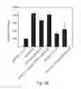 Fig. 49 - PROMOTERS EXHIBITING ENDOTHELIAL CELL SPECIFICITY AND METHODS OF USING SAME FOR REGULATION OF ANGIOGENESIS