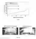 Fig. 76 - PROMOTERS EXHIBITING ENDOTHELIAL CELL SPECIFICITY AND METHODS OF USING SAME FOR REGULATION OF ANGIOGENESIS