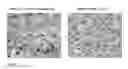 Fig. 79 - PROMOTERS EXHIBITING ENDOTHELIAL CELL SPECIFICITY AND METHODS OF USING SAME FOR REGULATION OF ANGIOGENESIS