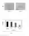 Fig. 87 - PROMOTERS EXHIBITING ENDOTHELIAL CELL SPECIFICITY AND METHODS OF USING SAME FOR REGULATION OF ANGIOGENESIS