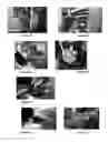 Fig. 22 - METHOD FOR ARTIFICIAL INSEMINATION OF COWS