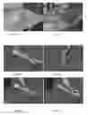 Fig. 28 - METHOD FOR ARTIFICIAL INSEMINATION OF COWS