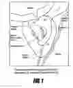 Fig. 02 - DEVICE AND METHODS FOR SAMPLING PROSTATE FLUID