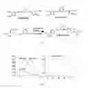 Fig. 02 - Curcumin Derivatives for Amyloid-Beta Plaque Imaging