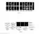 Fig. 07 - Curcumin Derivatives for Amyloid-Beta Plaque Imaging
