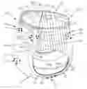 Fig. 01 - Absorbent Articles Comprising Graphics