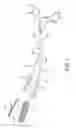 Fig. 02 - FORCEPS FOR PATHOLOGICAL DIAGNOSIS