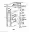 Fig. 02 - DYNAMIC NERVE STIMULATION EMPLOYING FREQUENCY MODULATION
