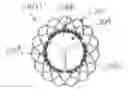 Fig. 01 - Catheter-Based Heart Valve Therapy System with Sizing Balloon