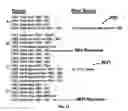 Fig. 08 - Radiation hard and fault tolerant multicore processor and method for ionizing radiation environment