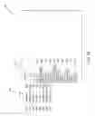 Fig. 09 - Instantaneous symbol lookup