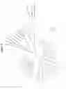 Fig. 02 - Sugar transporters