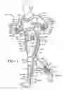 Fig. 02 - Exercise suit