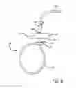 Fig. 04 - Dog collar