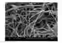 Fig. 01 - Fibrous structures and methods for making same