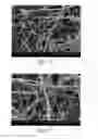 Fig. 09 - Fibrous structures and methods for making same