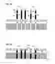 Fig. 07 - Noise dampening energy efficient circuit board and method for constructing and using same