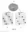 Fig. 06 - Photon event distribution sampling apparatus and method