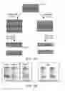 Fig. 07 - TUBULAR NANOSTRUCTURES, PROCESSES OF PREPARING SAME AND DEVICES MADE THEREFROM