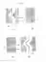 Fig. 06 - METHOD FOR MANUFACTURING GRAPHIC CHAIR AND GRAPHIC CHAIR MANUFACTURED BY THE METHOD