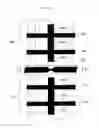 Fig. 22 - Plasma display apparatus with black matrices
