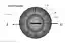 Fig. 01 - Standoff detection of motion and concealed unexploded ordnance (UXO)