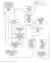 Fig. 08 - Diagnostic, prescriptive, and data-gathering system and method for macular pigment deficits and other eye disorders