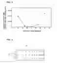 Fig. 06 - LIGHT GUIDE PLATE, WIRING MODULE AND ELECTRONIC APPLIANCE
