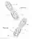 Fig. 35 - Sample receiving device