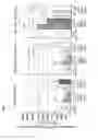 Fig. 08 - Paramyxovirus vector encoding angiogenesis gene and use thereof