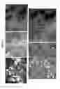 Fig. 02 - COMPOSITIONS AND METHODS USING STEM CELLS IN CUTANEOUS WOUND HEALING