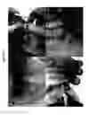 Fig. 19 - COMPOSITIONS AND METHODS USING STEM CELLS IN CUTANEOUS WOUND HEALING