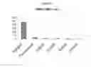 Fig. 22 - METHODS OF MANUFACTURE OF IMMUNOCOMPATIBLE CHORIONIC MEMBRANE PRODUCTS