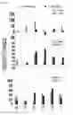 Fig. 08 - Adaptive biochemical signatures