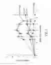Fig. 09 - Anti-arthropod vector vaccines, methods of selecting and uses thereof