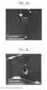 Fig. 05 - Nanosphere/microsphere delivery system for the treatment of spinal cord injury