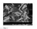 Fig. 02 - Injectable depot formulation comprising crystals of iloperidone
