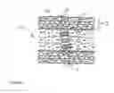 Fig. 06 - Biodegradable Implantable Drug Delivery Device