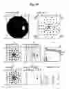 Fig. 85 - AGENT FOR TREATING EYE DISEASES